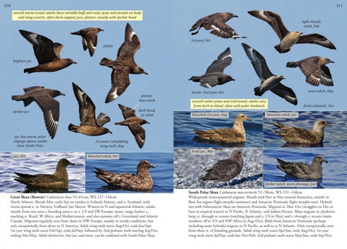 Oceanic Birds of the World, A Photo Guide - Howell, S. N. G. ym. 2019